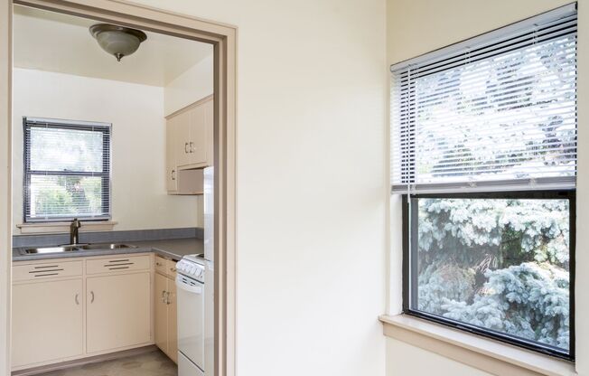 Studio, 1 bath, 403 sqft, $915, Unit 1191-203