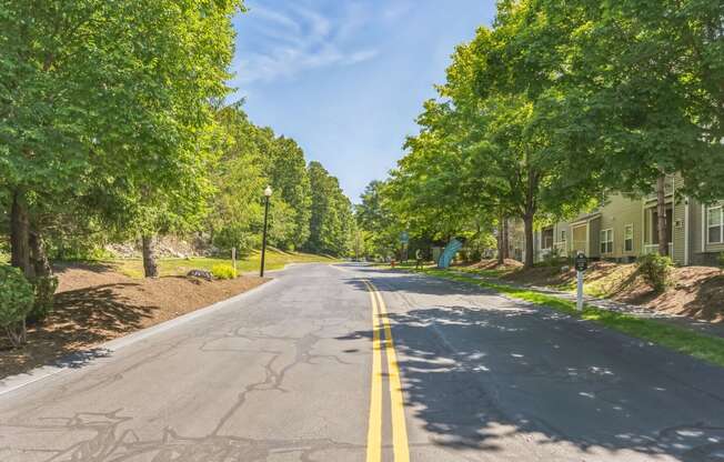 a street with houses and trees on both sides of the road