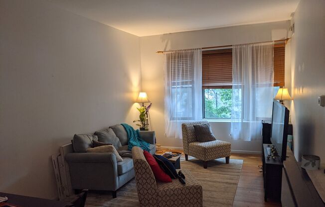 East Lincoln Park 2 Bed, 1 Bath Residence