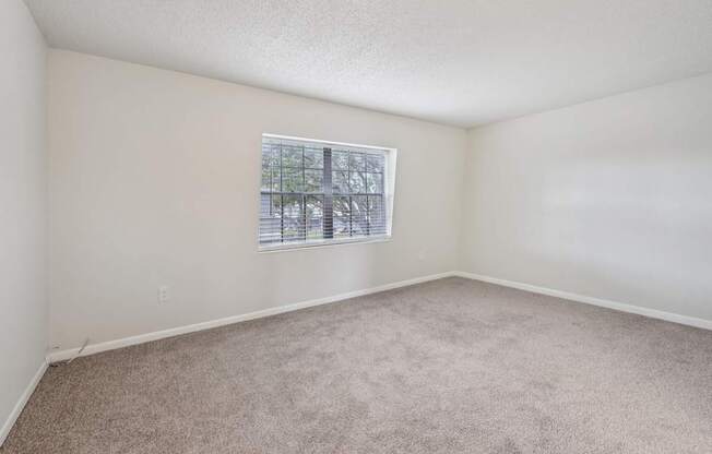 A room with a carpeted floor and a window.