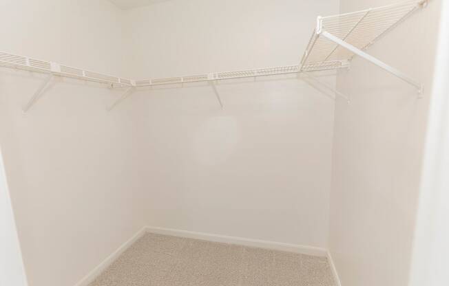 spacious closet with write shelving