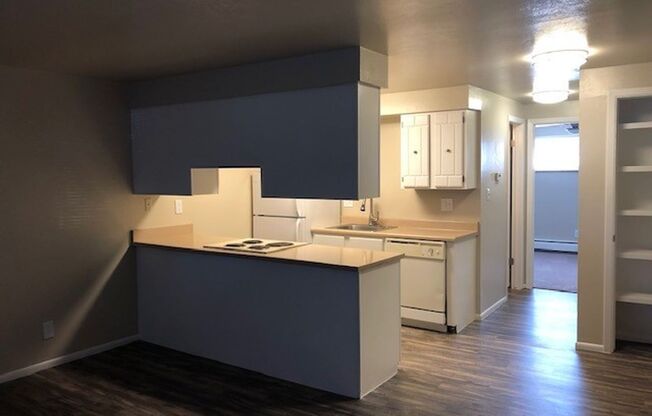 1 bed, 1 bath, 650 sqft, $1,285