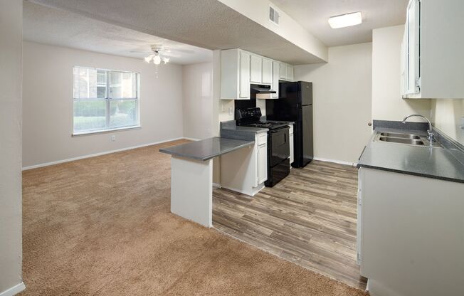 Turtle Creek Apartments