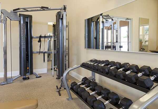 The Gate Apartments Fitness Center Free Weights