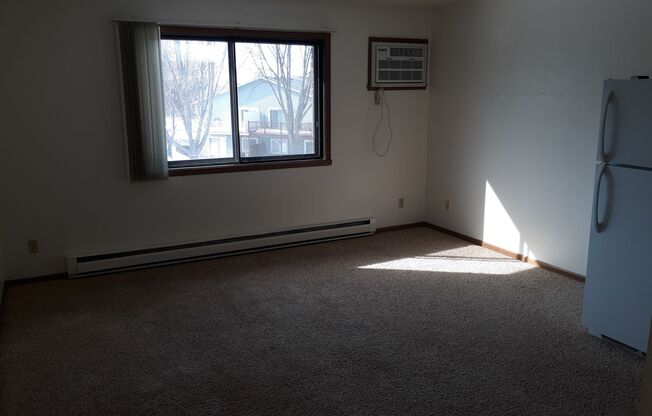 Studio, 1 bath, 370 sqft, $550, Unit 305