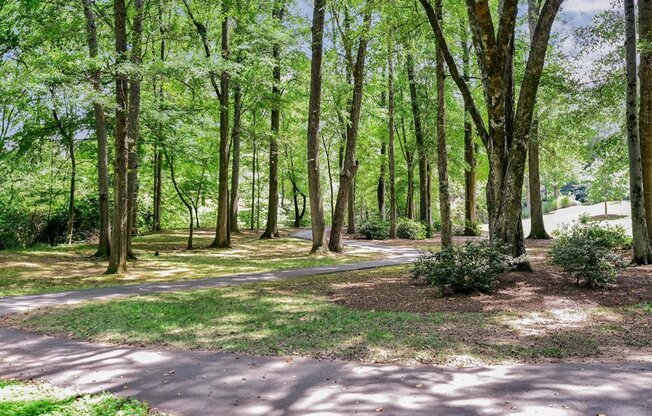 Lullwater at Bass | Naturally Wooded Paths