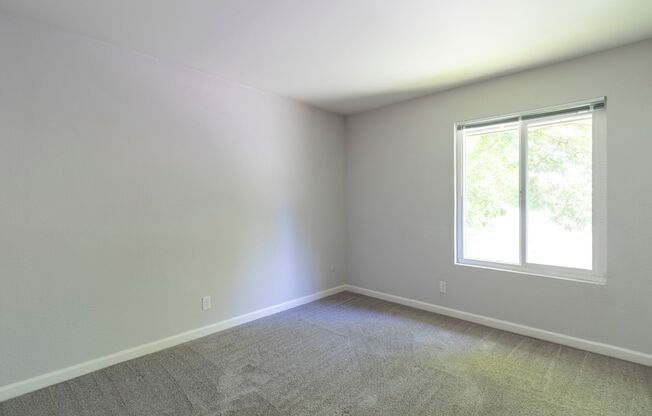 1 bed, 1 bath, 627 sqft, $1,245