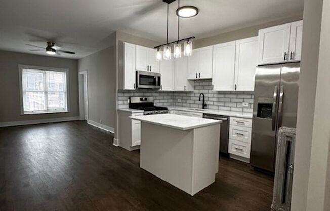 Large Re-newly Renovated 3-Bed 1-Bath In The Heart of Logan Square