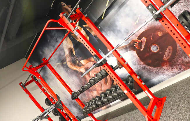 Euclid fitness center free weighs