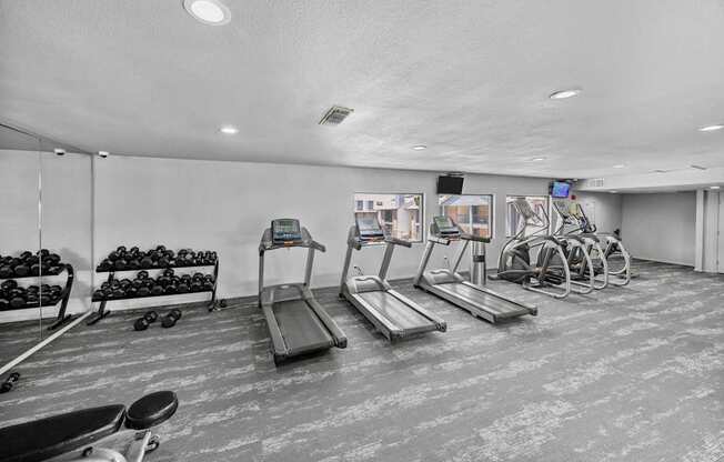 A gym with treadmills, exercise bikes, and dumbbells.