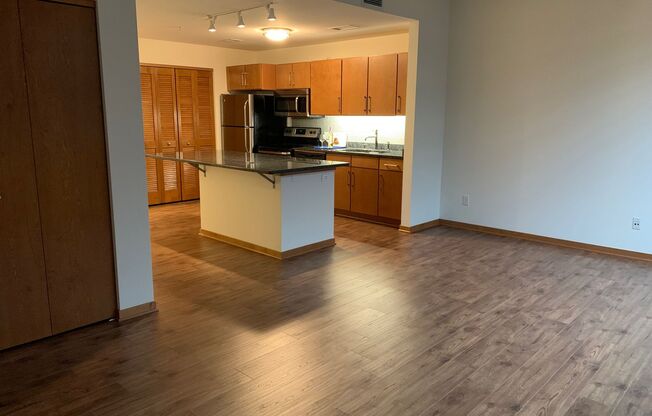 Studio, 1 bath, 541 sqft, $1,325, Unit 301