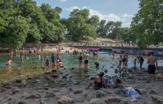 Local Swimming Hole Nearby at Windsor South Lamar, Austin, 78704