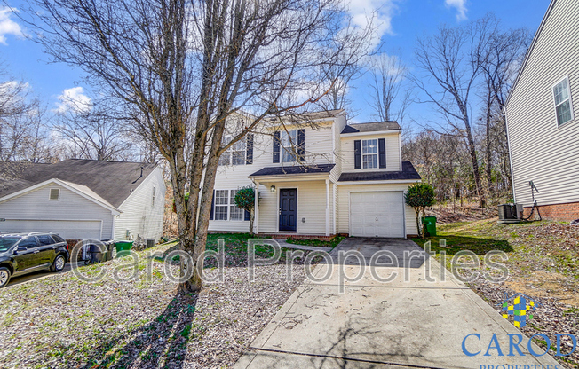 1015 ALSTON HLS DR