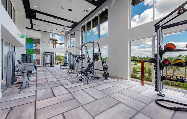 Fitness center with weight machines and free weights