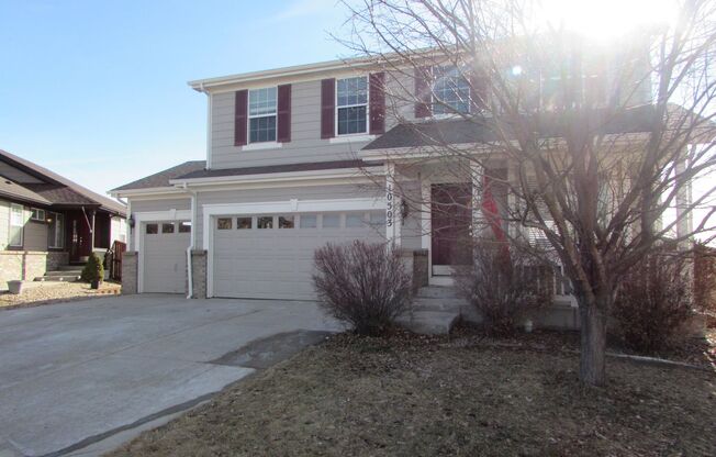 Beautiful 2-Story Home with 3-Car Attached Garage in Buffalo Mesa