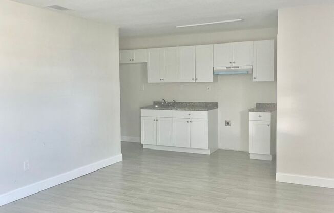 NEWLY RENOVATED SINGLE LEVEL 3 BEDROOM UNITS ON A QUIET STREET