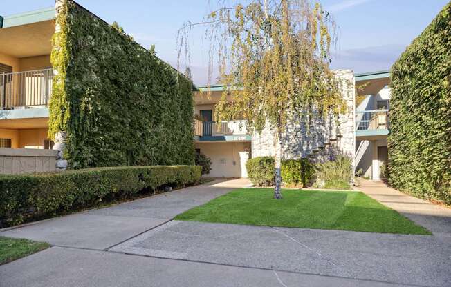 A residential area with a green lawn and a building with a balcony.