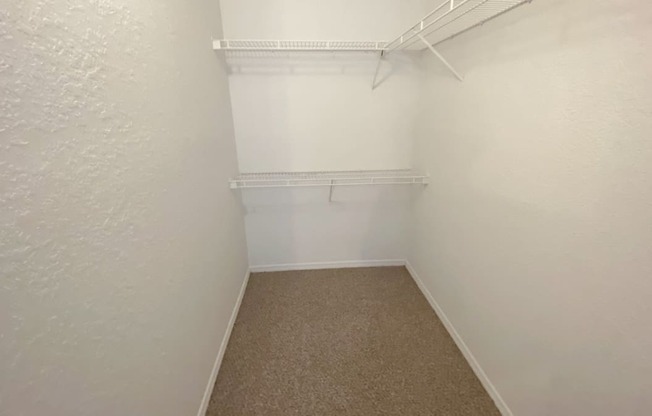 Walk-in closet with carpet flooring