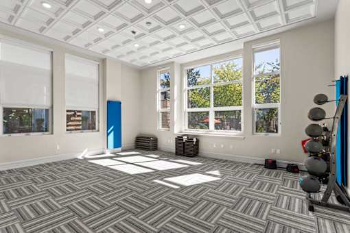 A spacious room with a patterned carpet and a blue exercise machine.