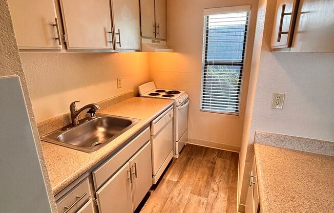 1 bed, 1 bath, $1,325, Unit 35