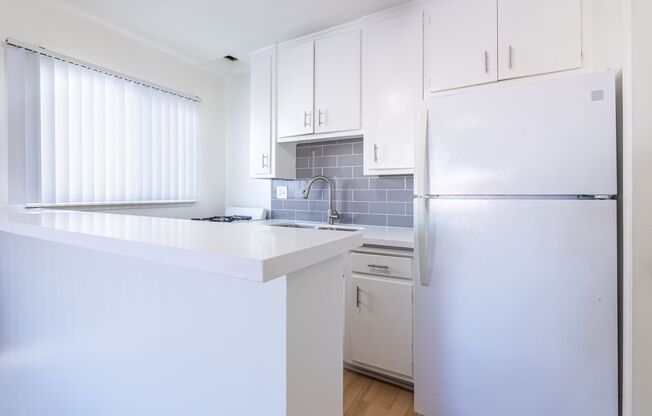 1 bed, 1 bath, 596 sqft, $2,095, Unit 1