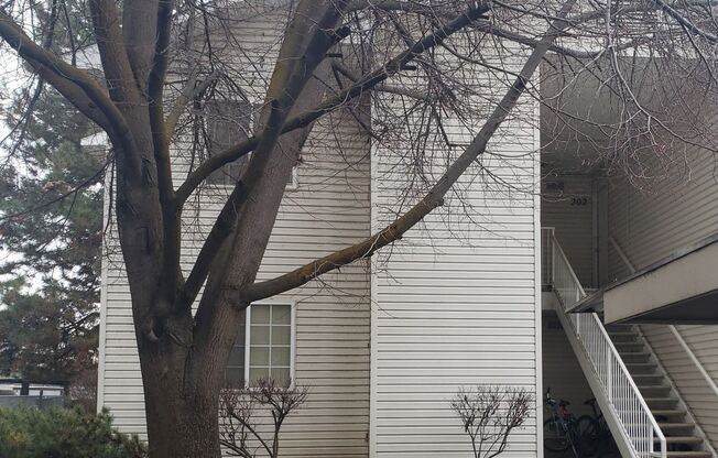 4823 N Charm