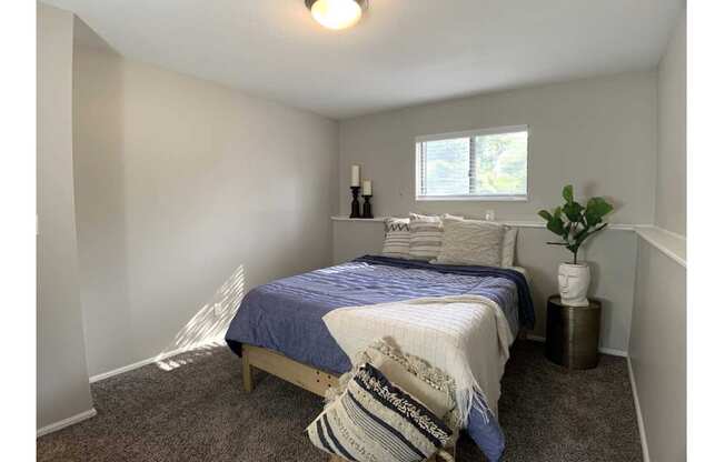 A bedroom with a bed, a lamp, and a plant.