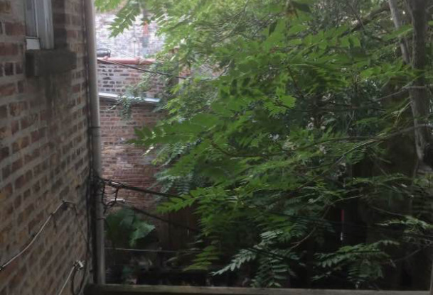 2908 N Wisner Ave 2R