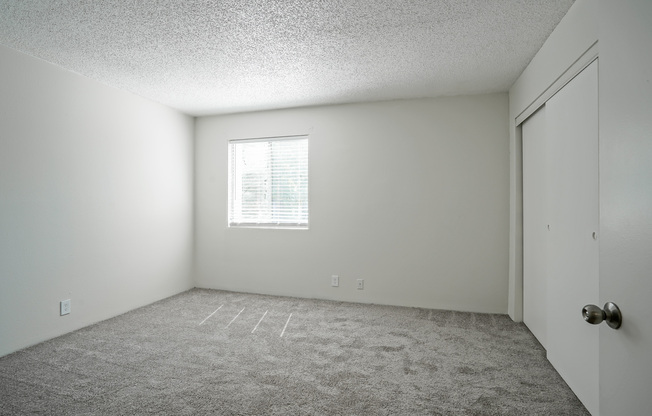 Carpeted bedroom at Treehouse Apartments in Albuquerque, New Mexico