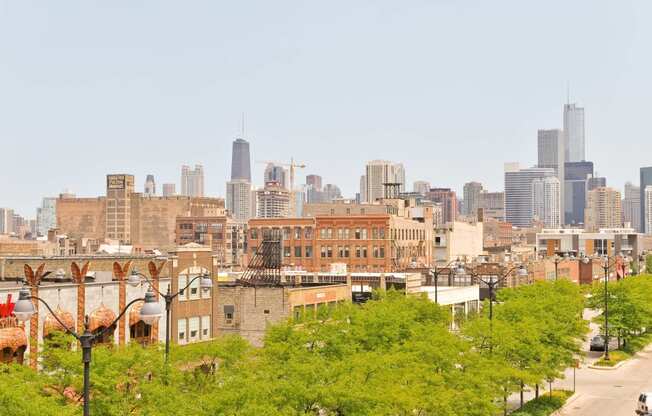 the skyline of the city with trees in the foreground