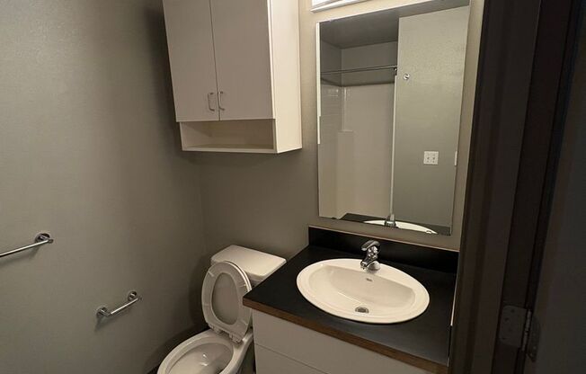 Studio, 1 bath, 436 sqft, $999, Unit 110