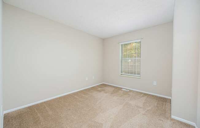 an empty room with a window and beige carpet