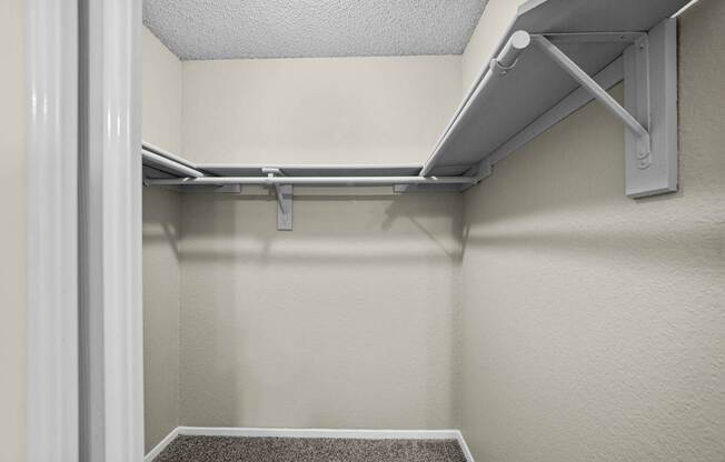 A white closet with a shelf and a carpeted floor.