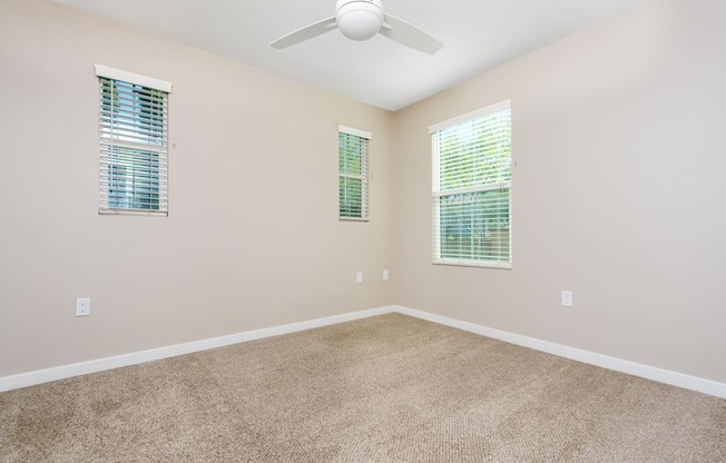 a bedroom with a ceiling fan and three windows, with carpeted floors.