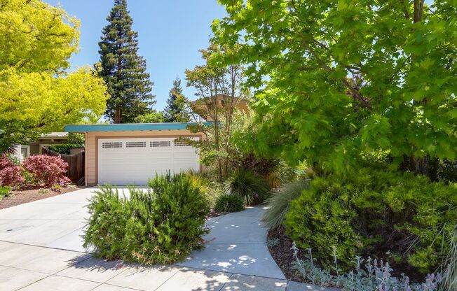 4 Bed / 2 Bath Welcoming Midtown Palo Alto home for rent. YouTube tour!!