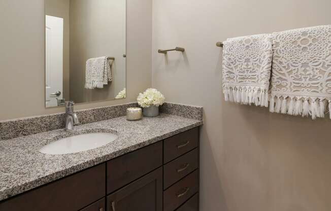 a bathroom with a sink and a mirror and a towel rack