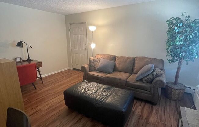 1 bed, 1 bath, $1,450, Unit 101