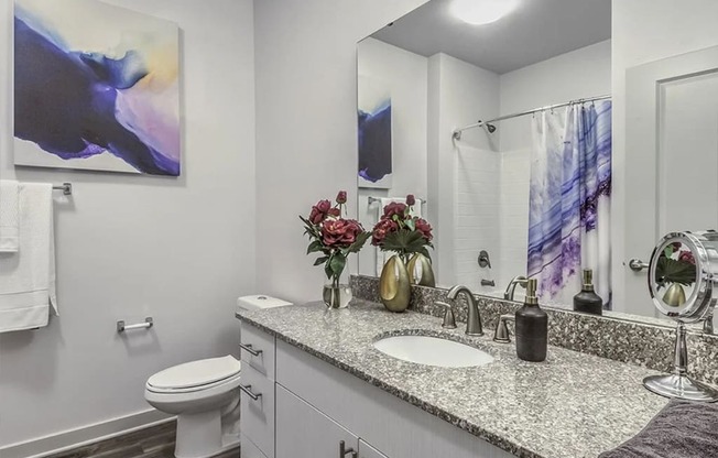 Bathroom with granite counters and large mirror at Sycamore at Tyvola, Charlotte, NC