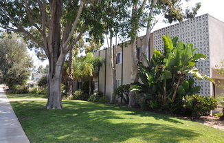 Pinnacle Amapola LLC