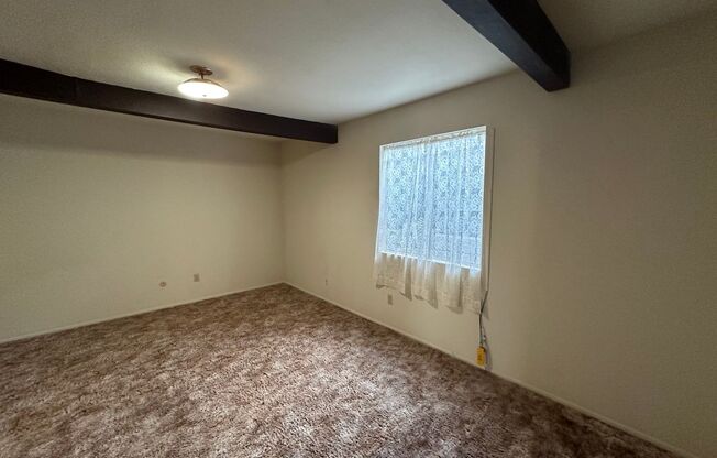 1 bed, 1 bath, 600 sqft, $950