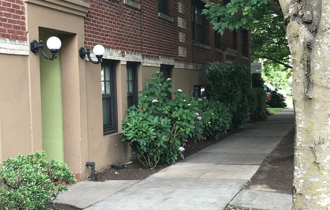 Studio, 1 bath, 310 sqft, $1,299, Unit 204