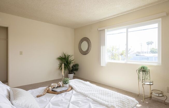 Casa De Windsor - North Clairemont