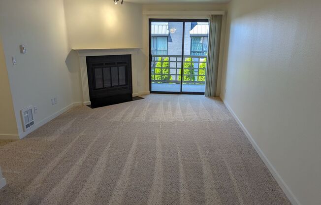 2 beds, 1 bath, 810 sqft, $1,995, Unit C303