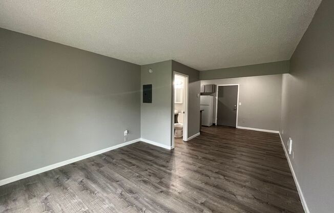 Studio, 1 bath, 450 sqft, $1,000