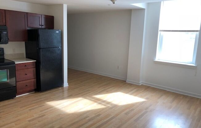 Studio, 1 bath, 500 sqft, $1,499, Unit 201