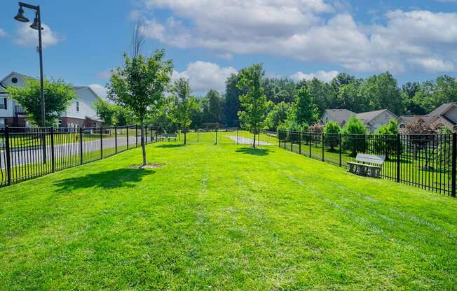 A park with a bench and a fence.