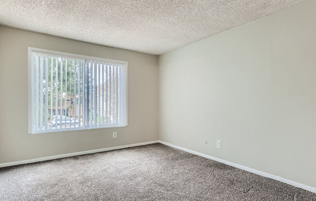 Spacious bedrooms with natural light at meadow lark apartments