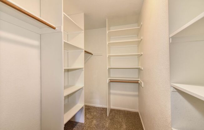 1 bed, 1 bath, 750 sqft, $1,595, Unit 510