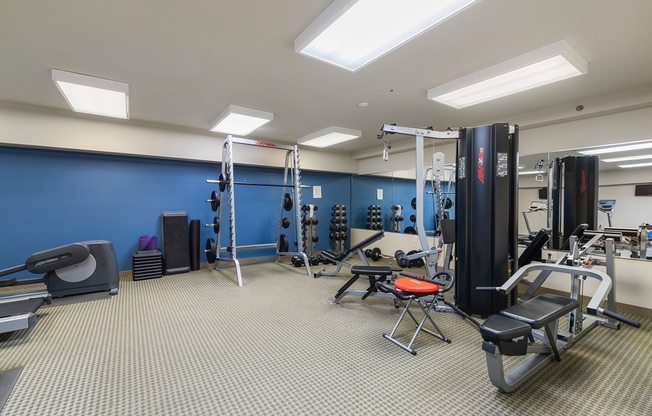 1 bed, 1 bath, 1,125 sqft, $3,000, Unit 205