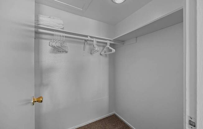 A white closet with a carpeted floor and a white door.
